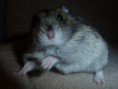 /album/fotky/p1000007-jpg/