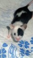 /album/fotky/jack-jill-jpg/